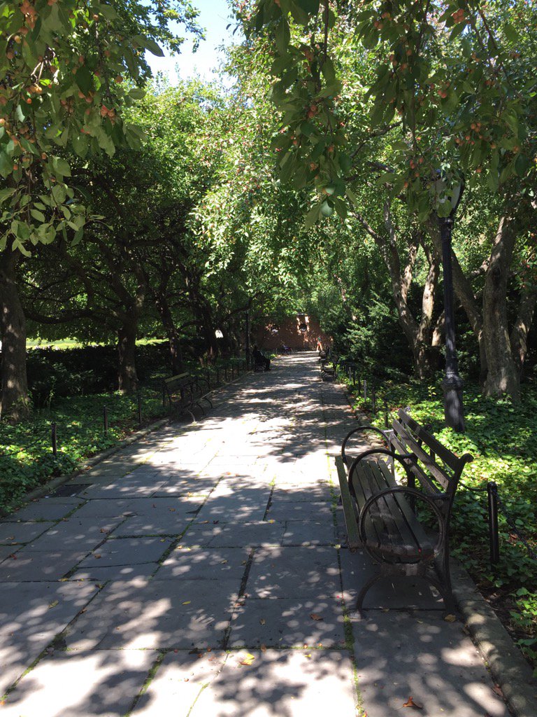 SaveWPLibrary's tweet photo. More #greenspace, #shade, #benches in #MLKPark w new #WPLibrary (read outside!) #winterparkevents @winterparkvoice https://t.co/2kcTi141p2