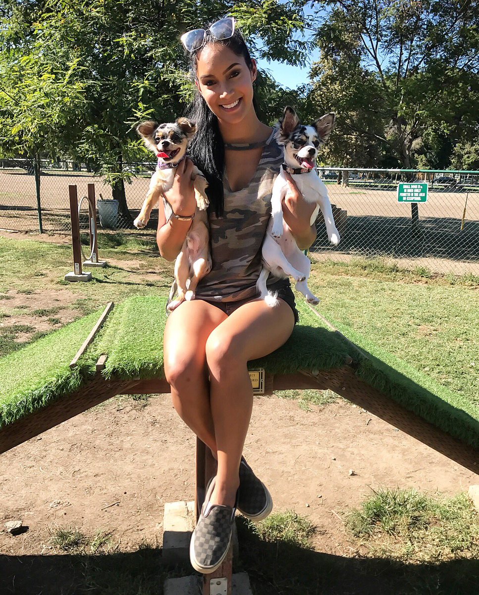 giannahammer's tweet photo. ๐๐๐ #NationalDogDay #ripBindi https://t.co/Bc61RbybFV
