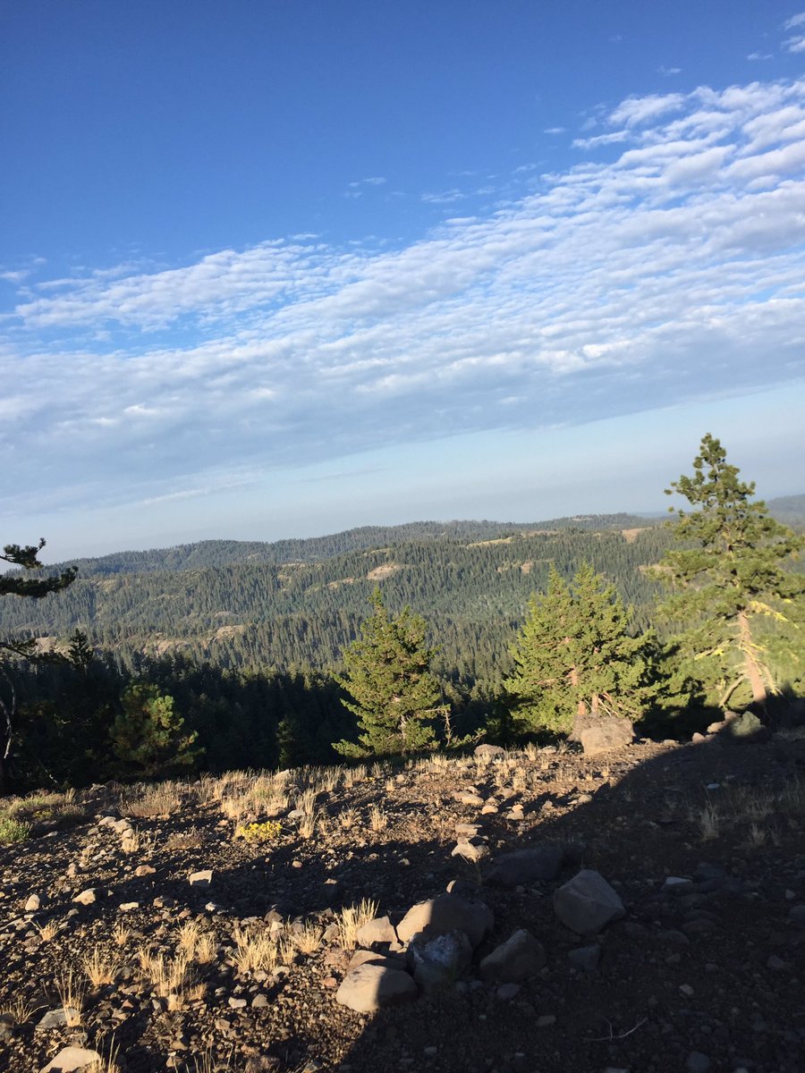 MyLife_Outdoors's tweet photo. There is a lot of land out there that we can hunt on #publiclandowner @Backcountry_H_A #trophycountry #huntca https://t.co/X8qdQwpC5g