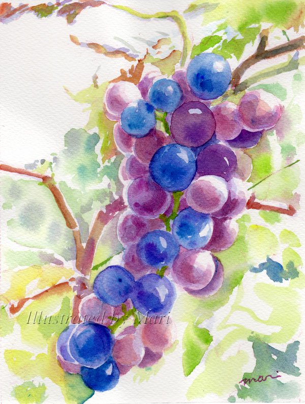 Marine Island 葡萄狩 Pixiv T Co Rabeb6qiis 他の料理素材を描いた 水彩画はこちら T Co Osj2qpb5ty Watercolor 透明水彩 水彩画 水彩絵を流して水彩民を増やそう 葡萄 T Co Djlrgokc6t Twitter
