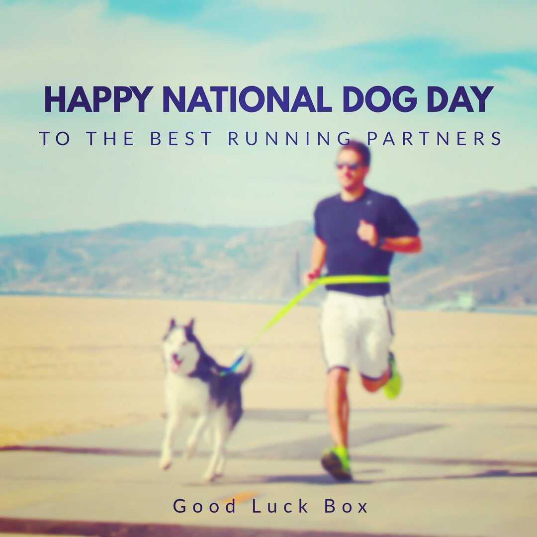 theGoodLuckBox's tweet image. Did someone say #NationalDogDay?! Tweet us a pic of your favorite four legged running partner! #bibchat