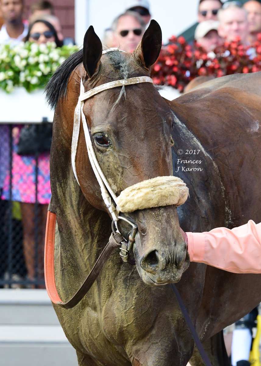 francesjkaron's tweet photo. C. Fipke's homebred Forever Unbridled winning the Personal Ensign under a Joel Rosario handride. Trained to perfection by @DallasStewart3. https://t.co/QVd2dSvXi4
