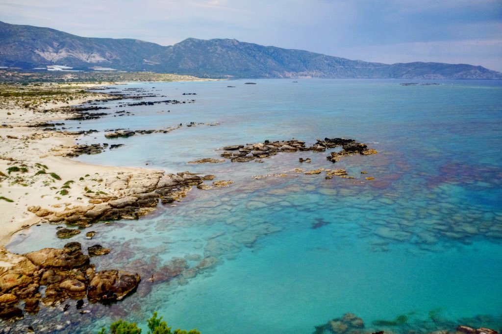 Cocktail History tweet media