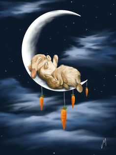 LadySaera's tweet photo. #Goodnight 2 #ALL its #Time 2 #amwritingfantasy #amwritingromance #writerslife
#Peace2World #Gratitude https://t.co/CTPJuqzrG1