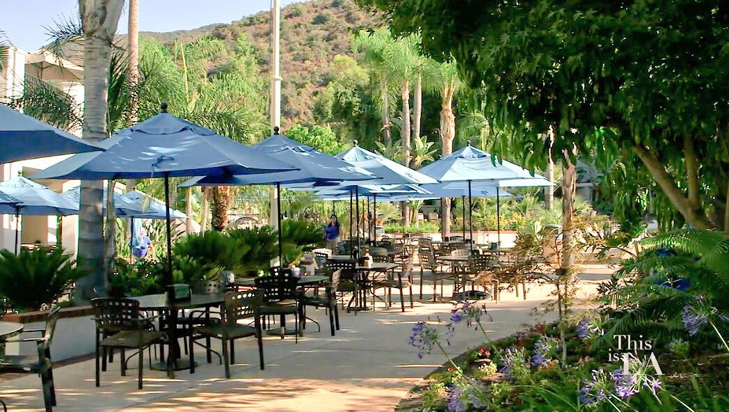 This Is LA tweet media