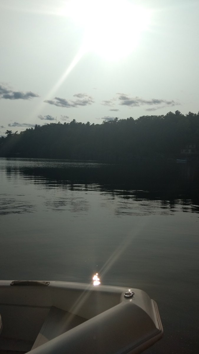 SLC Fine Arts tweet media