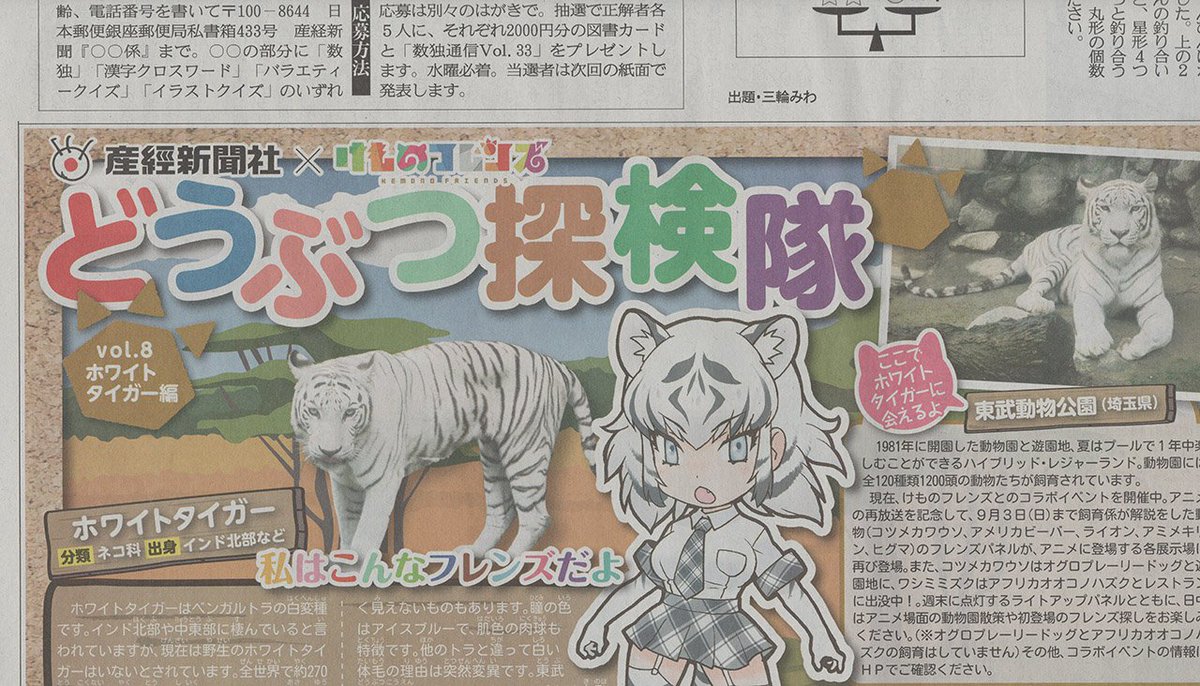 産経新聞 けものフレンズ の どうぶつ探検隊 Vol 8が掲載 今回はホワイトタイガー けもちゃん