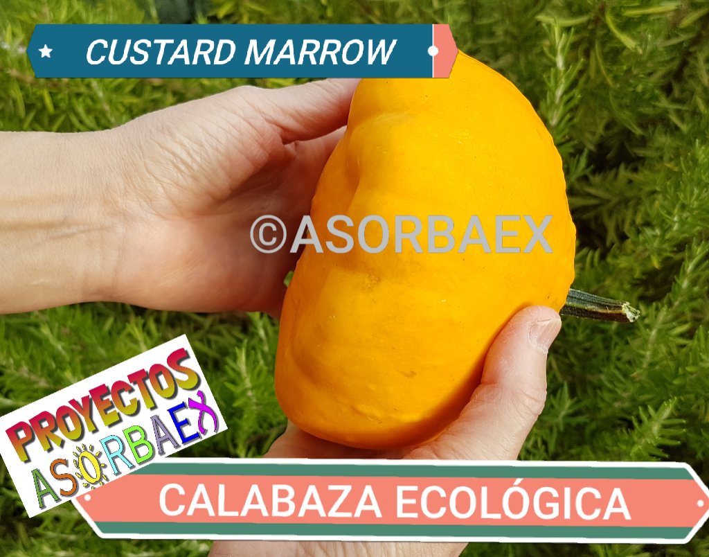 ASORBAEX tweet media