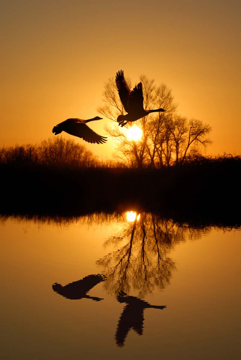 DScottwrites's tweet photo. I... am merely a reflection of You... together as One. Soaring...through the knowing...of our Loving. #FridayFeeling #Poetry #Loving #life https://t.co/AFyCXRWbsa