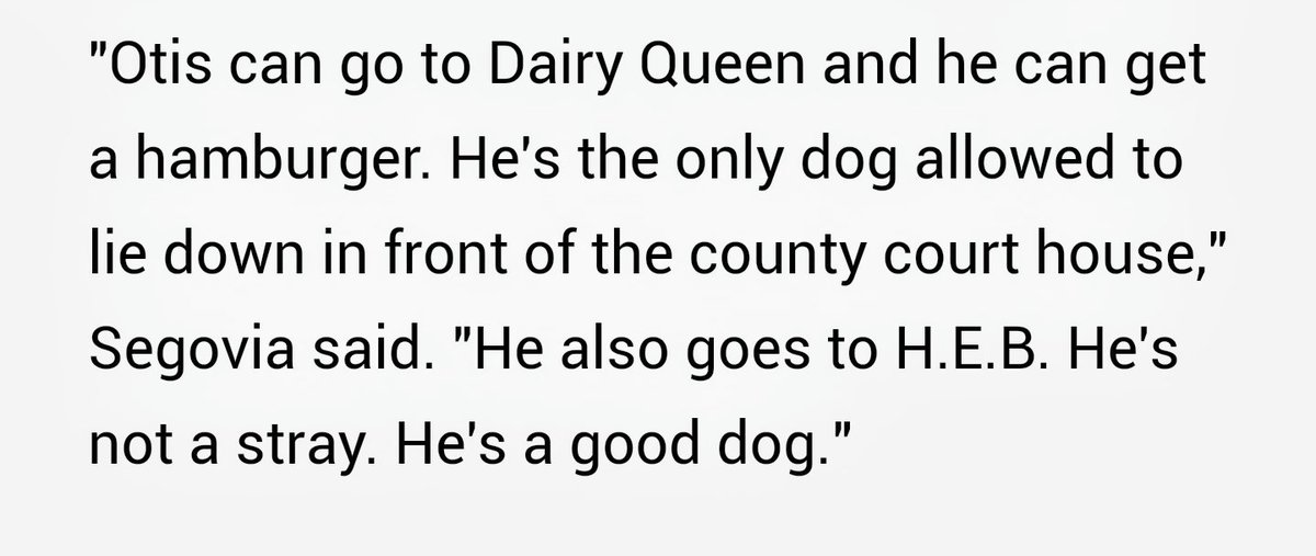 amanbatheja's tweet image. That pic of a Texas dog with a bag of dog food not only has a happy ending but maybe the best quote about a dog ever chron.com/news/houston-w…