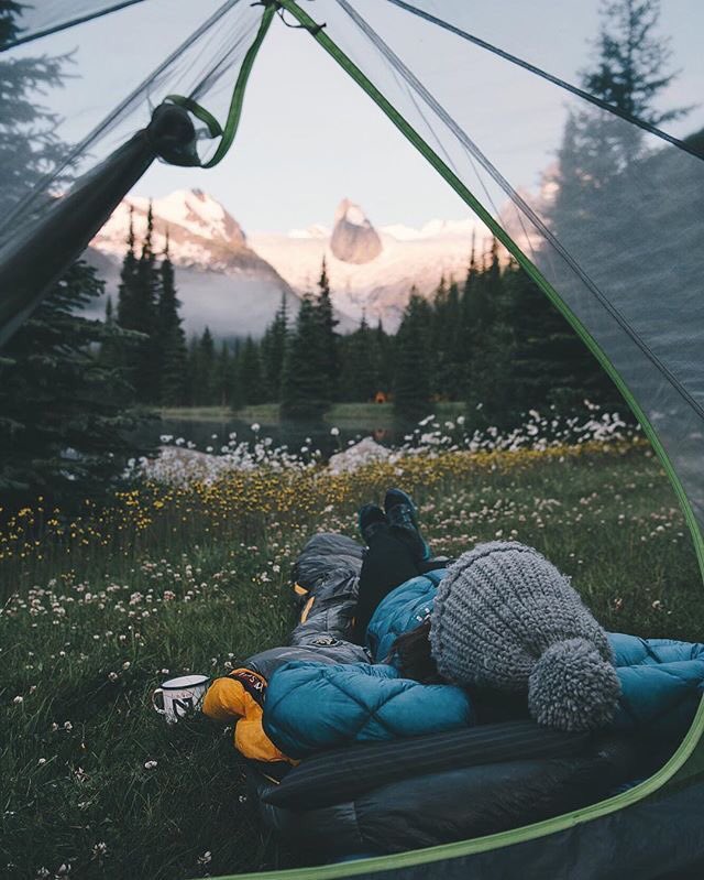coffee_n_mtns's tweet photo. Mood https://t.co/c2uirbZDYk
