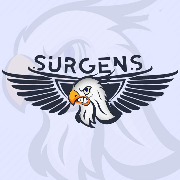 CopaArgui's tweet photo. Copa Argüi ❤️ 13 equipo @surgensesports https://t.co/eJp9fYUBz3