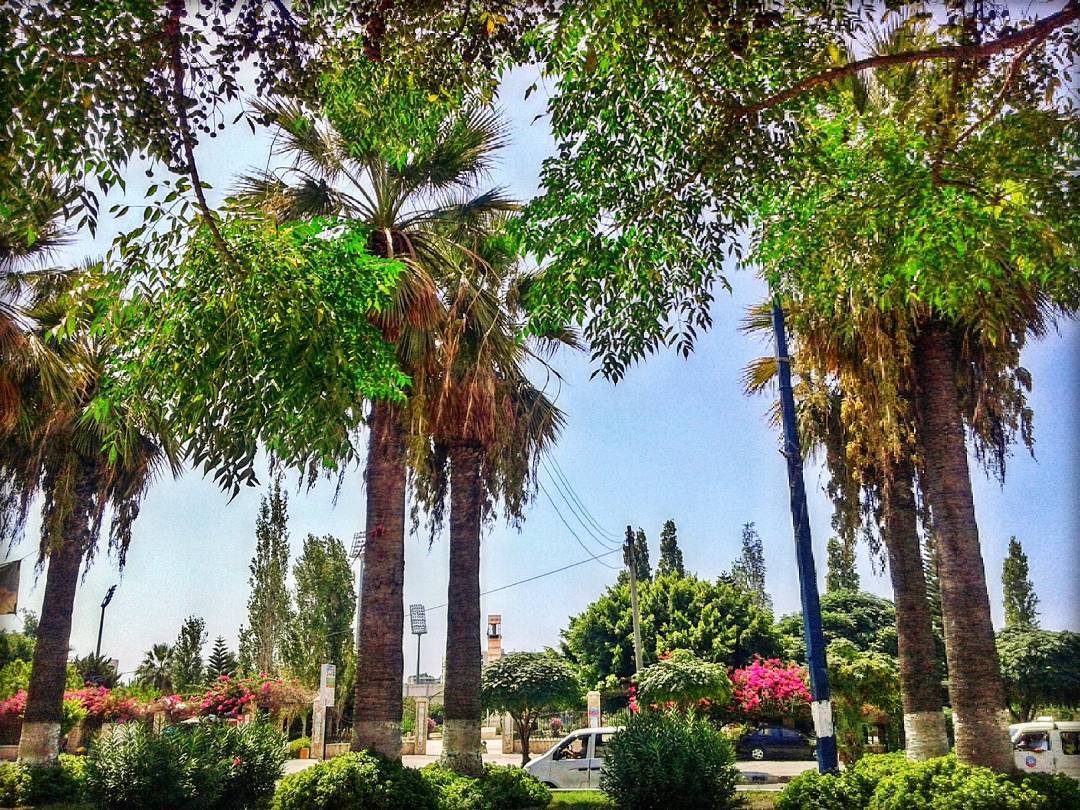 Syria_Daily's tweet photo. #Lattakia (26/08/2017) https://t.co/ePReB7gngt