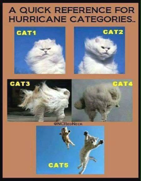ctecce's tweet photo. Know your hurricane cats.. https://t.co/Gz0xCxgh7q