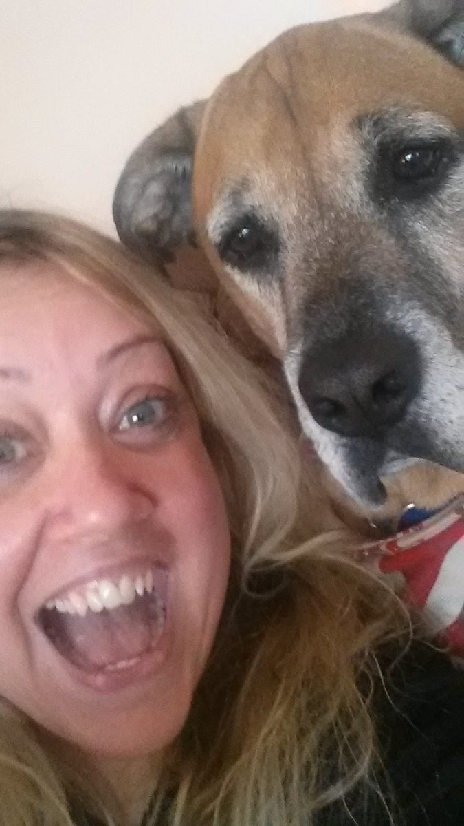 debbyshanahan's tweet photo. Flashback 2 years ago my niece's dog love this guy our selfie. #NationalDogDay2017 @abbyrose27 https://t.co/Cc2kJfLOzo