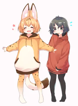 画像 / Picture