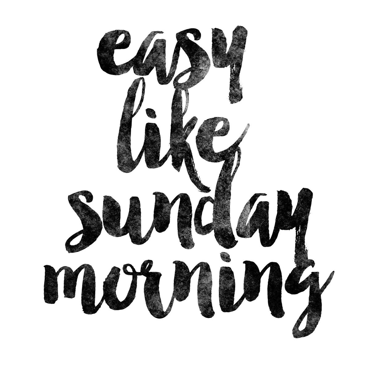 theadorepackage's tweet photo. Happy Sunday 🤘
#theadorepackage #picoftheday #sunday #sundayfunday #sundayvibes #easy #easylikesundaymorning https://t.co/fzfBKQBeUN