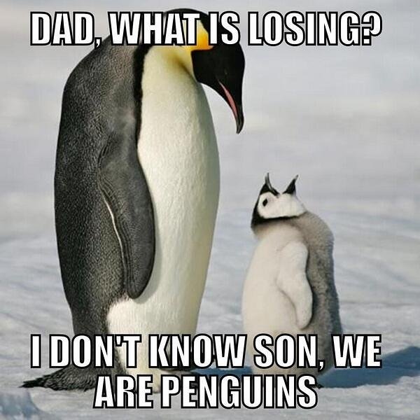 Penguin Village Ulti tweet media