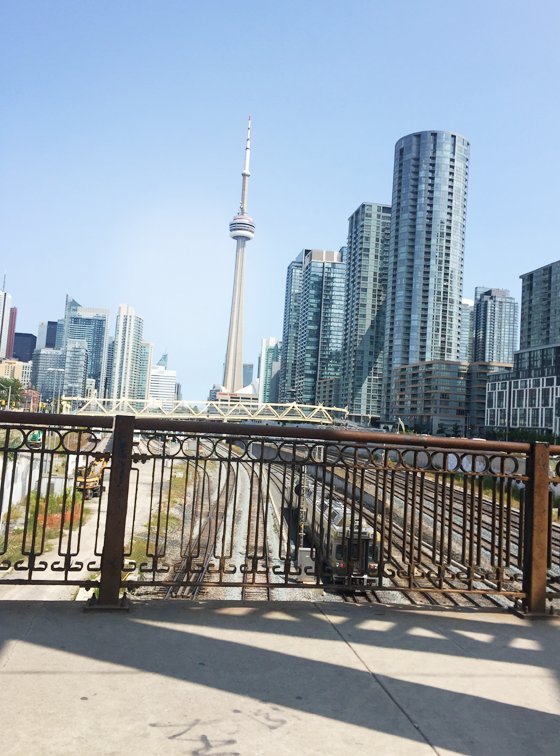 simlione's tweet photo. #Toronto  #cntower  #torontocntower Toronto's gorgeous https://t.co/e9QVXNLFEd