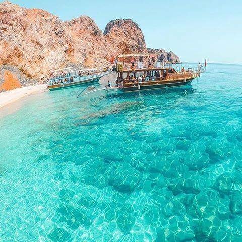 JSevmek's tweet photo. #fotoğrafçılık #resim #fotoğraf #yeryüzü #doğa #çiçekler #fauna #şafak #ikindi #aşk #ILove  #Landscape #Travel https://t.co/eEn6Cm323H
