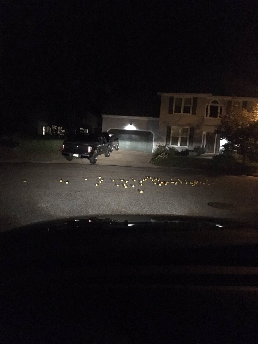 SleepyJirachi's tweet photo. THERES LITERALLY THOUSANDS OF LEMONS FOR NO REASON JUST ALL OVER THE ROAD https://t.co/9ue0Ji5h68