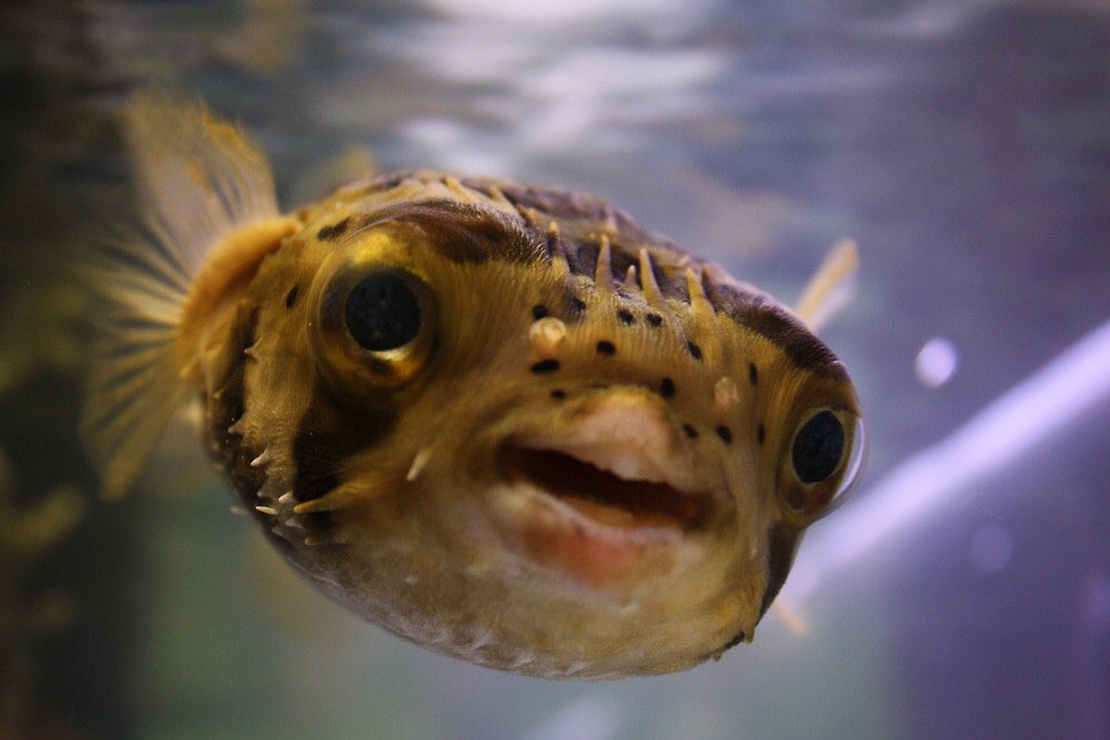 hello everybody!!!!! have fun today!!!!!! drink lots of water!!!!!!!!