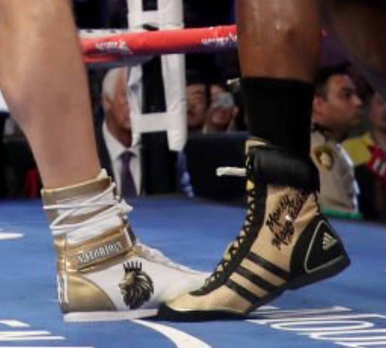 mayweather adidas boxing shoes
