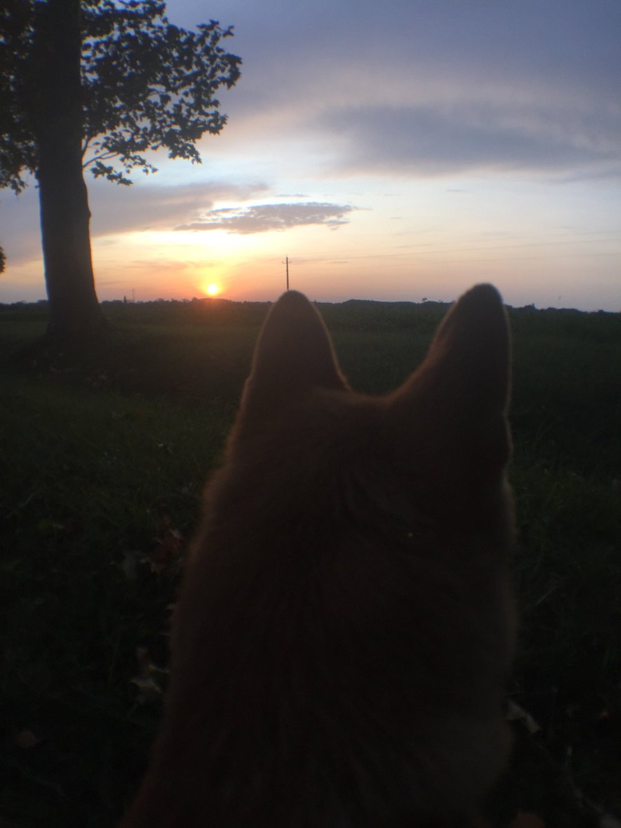 Good Morning!
I upload every tuesday on YT!m.youtube.com/channel/UCWqg1…