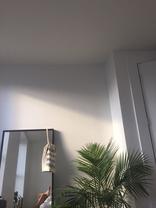 suzu17_'s tweet photo. aesthetic https://t.co/7gr60b77T7