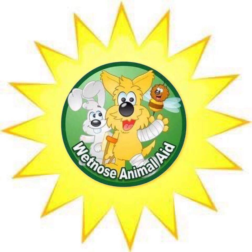 WetnoseShow's tweet image. Huge thank you to @PetModels for sponsoring our Summer Pet Show check out these fabulous experts in animal modelling animaldirection.com