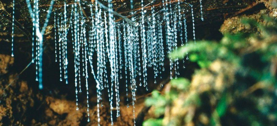 MVfarmstay's tweet photo. Glow Worm Glen in Bundanoon is just 1 minute drive from Morvern Valley Farm Stay. Terrific adventure for kids! #essentialkids #allthingsmom https://t.co/iCxurzlM92