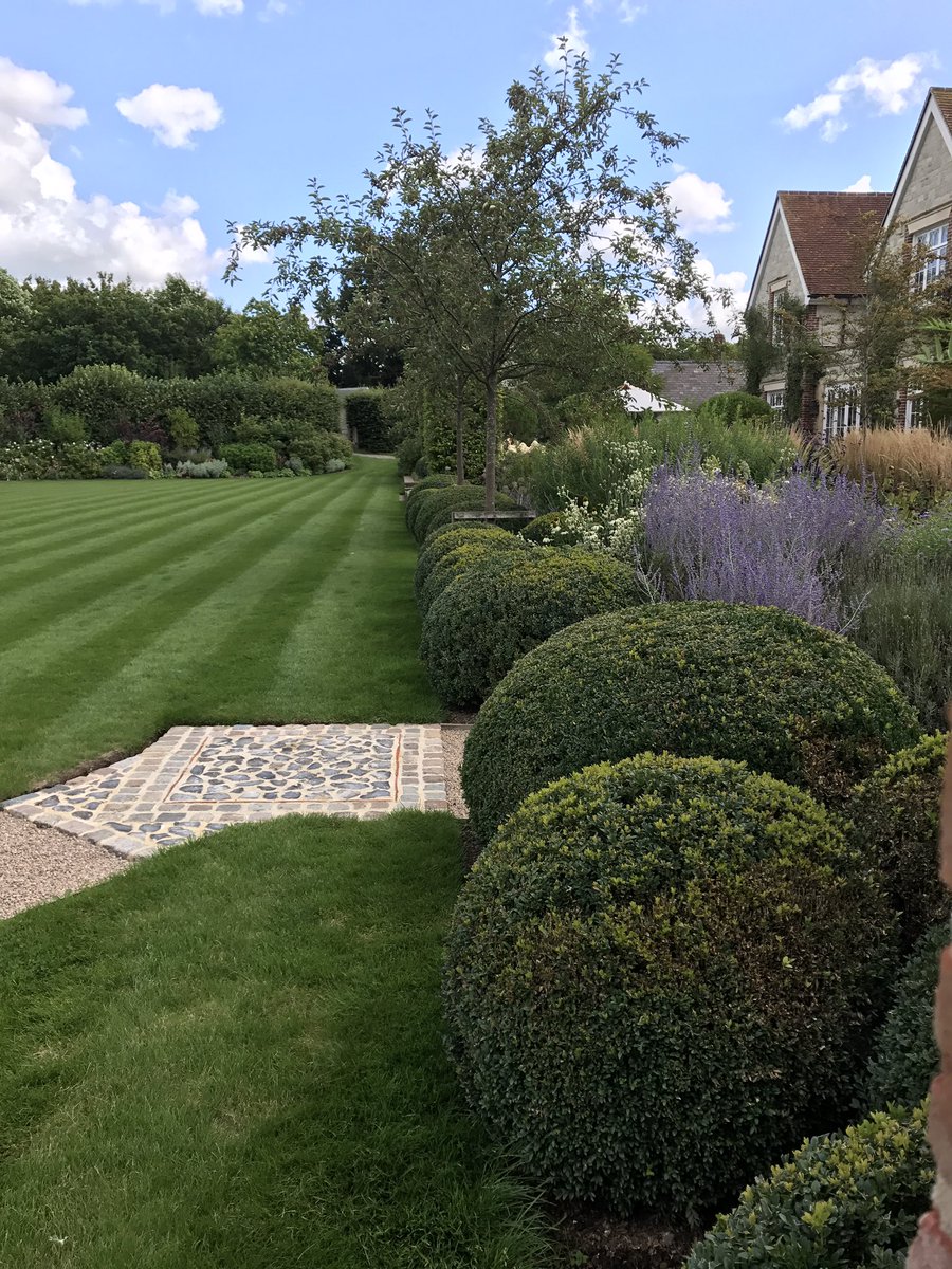 A beautiful Garden in Hampshire we made nearly 4 years ago and still maintaining.#boxballs #finelawns #gardenmaintenance #lateaugustcolour