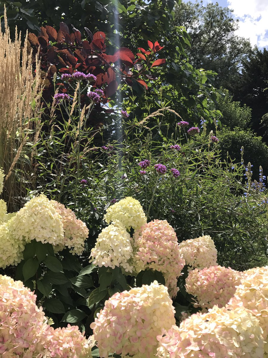 Location Landscapes tweet media