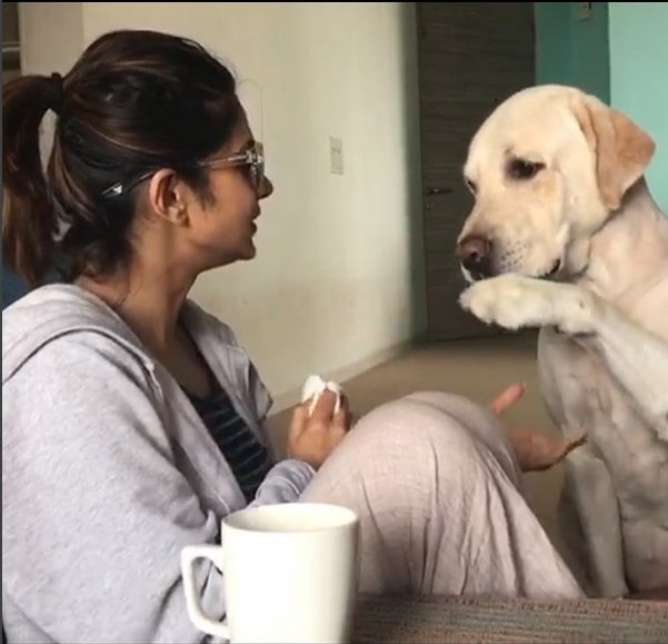 .<a href="/jenwinget/">Jennifer Winget</a> just made our Sunday a #HappySunday by posting this adorable picture with #Breezer!