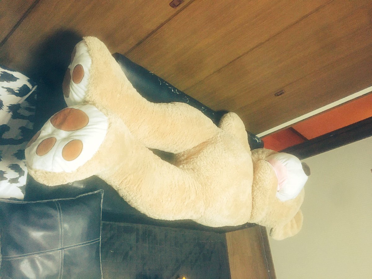 8_K_O's tweet photo. プレゼント喜んでくれるかな。 https://t.co/jAijSDv3RN