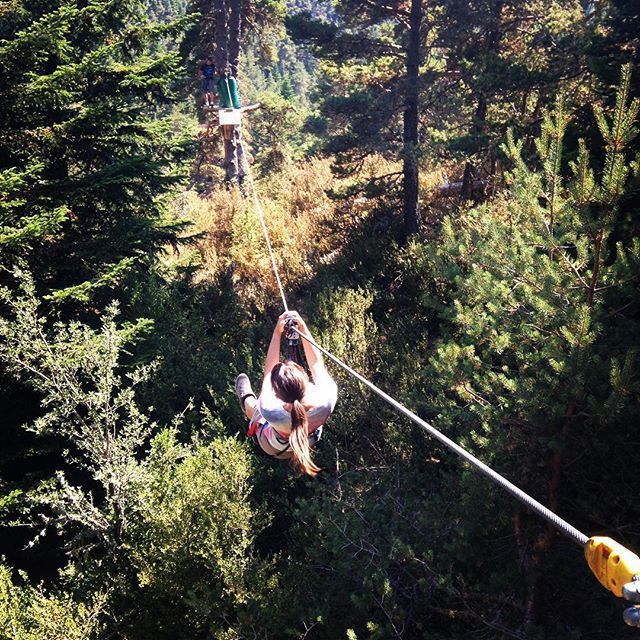 DdfPaca's tweet photo. Un peu de sensations ce week-end ?
#acrobranche #mouliere #cotedazurfrance #cotedazurnow #outdoor #loisirs #sport #paysdegrasse #prealpes https://t.co/suRiz0Zx9d