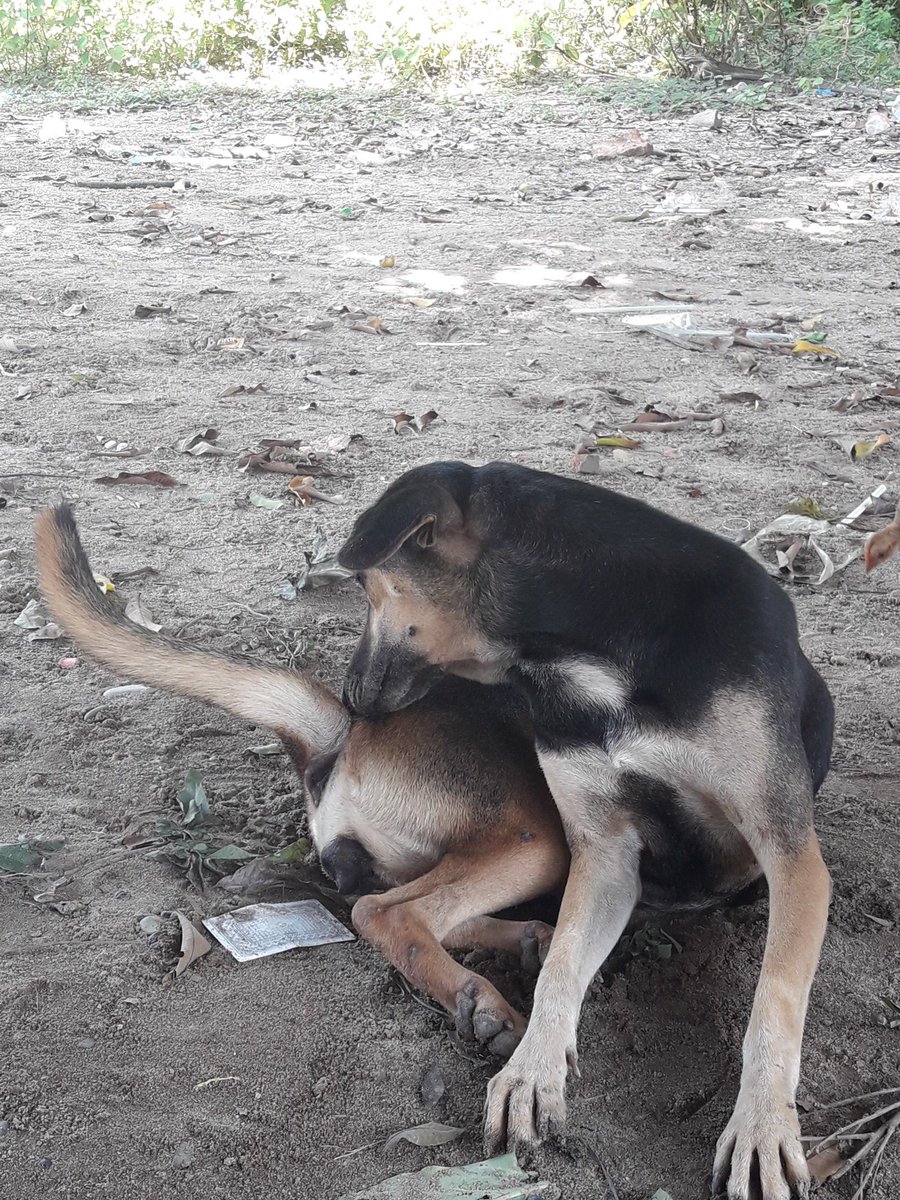 laexath's tweet photo. ใครสนใจมาๆๆ https://t.co/mUiWMlXK8U