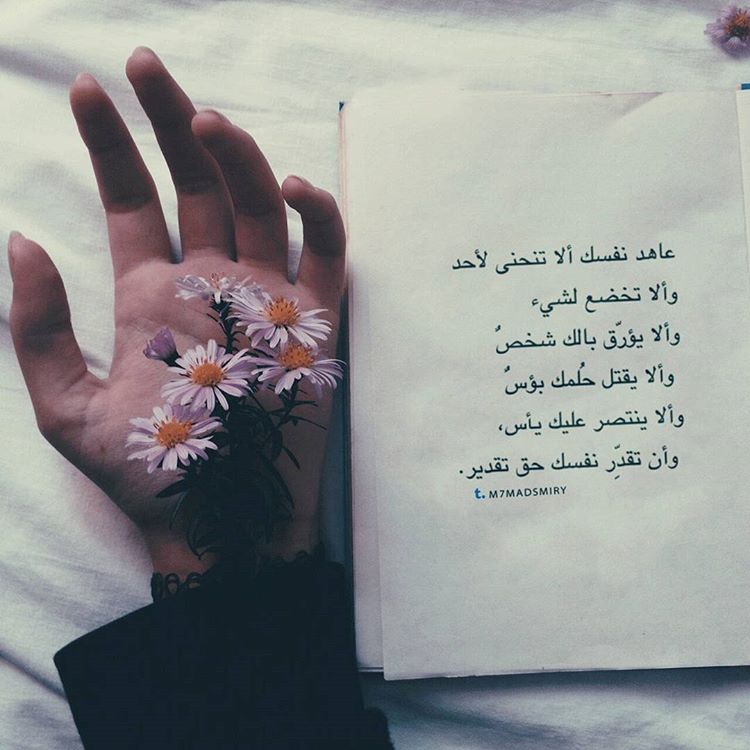 ثورية وياسمين (@revyasmeena) on Twitter photo 