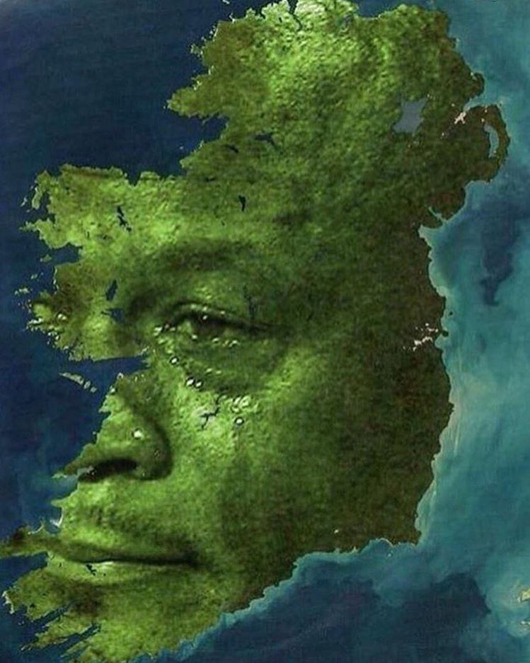 itsluisagibson's tweet photo. all of Ireland after the fight 🇮🇪#MayweathervMcgregor https://t.co/KBW0nrN8fc