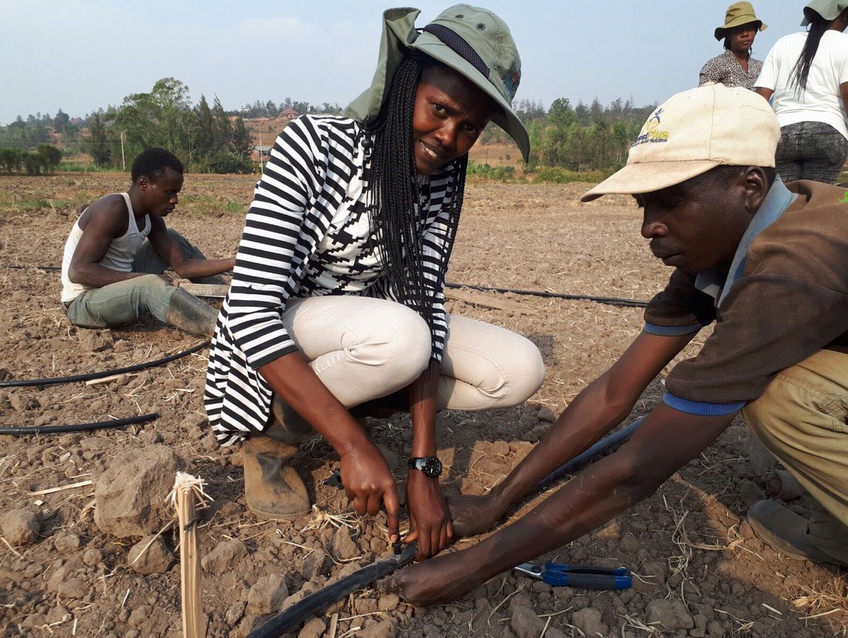 MASHAVisrael's tweet photo. Work goes on at MASHAV #Rwanda Center of Excellence for Horticulture Development near Kigali: Optimizing water & irrigation systems https://t.co/OZBjDDlZTR