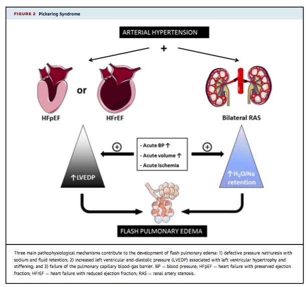 vic_pallares's tweet photo. Update #HTA➡️ #FRCV > morbimortalidad. Si no detección/control precoz➡️#HVI➡️#ICCFEp➡️#ICCFEr➡️ #PickeringSyndrom
@JACCJournals https://t.co/fartFWSxrB