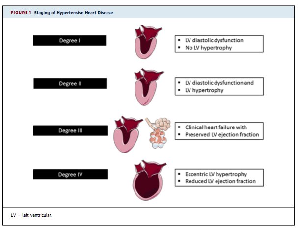 vic_pallares's tweet photo. Update #HTA➡️ #FRCV > morbimortalidad. Si no detección/control precoz➡️#HVI➡️#ICCFEp➡️#ICCFEr➡️ #PickeringSyndrom
@JACCJournals https://t.co/fartFWSxrB
