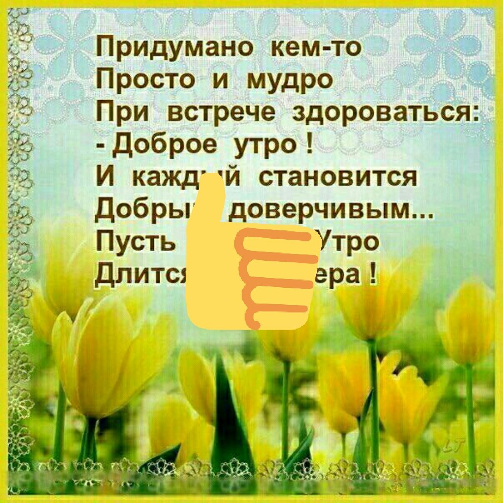 Добрые пожелания и Мудрые высказывания