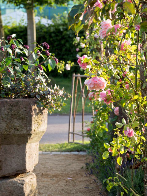 Greens_Estates's tweet photo. How to Deadhead Roses and Other Popular Plants https://t.co/HojSjWXRpn #Garden #Newcastle https://t.co/sTOBbmPUc8