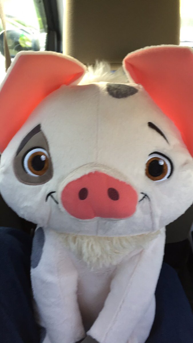 4hfO8's tweet photo. あゆの新しい友達💗 https://t.co/t4RZ64lxQc