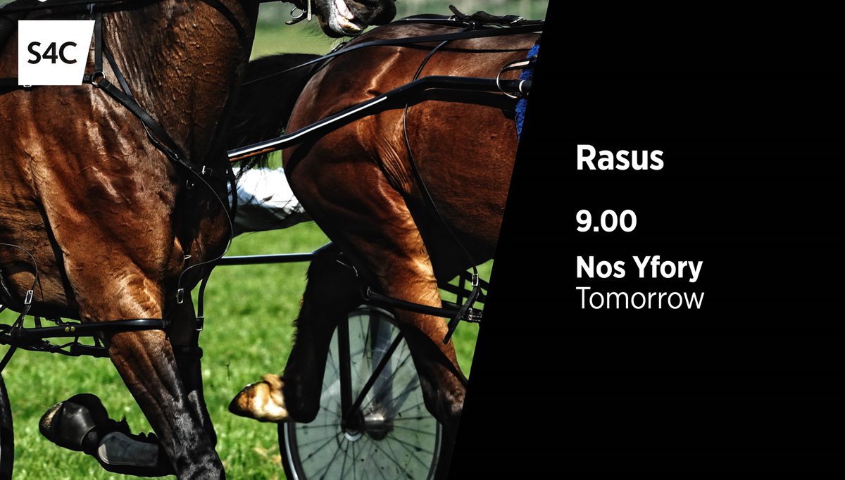 S4Cchwaraeon's tweet photo. Uchafbwyntiau’r tymor trotian
Highlights from the trotting season
#Rasus | Llun | Monday | 9.00 https://t.co/eAcPokvbnZ