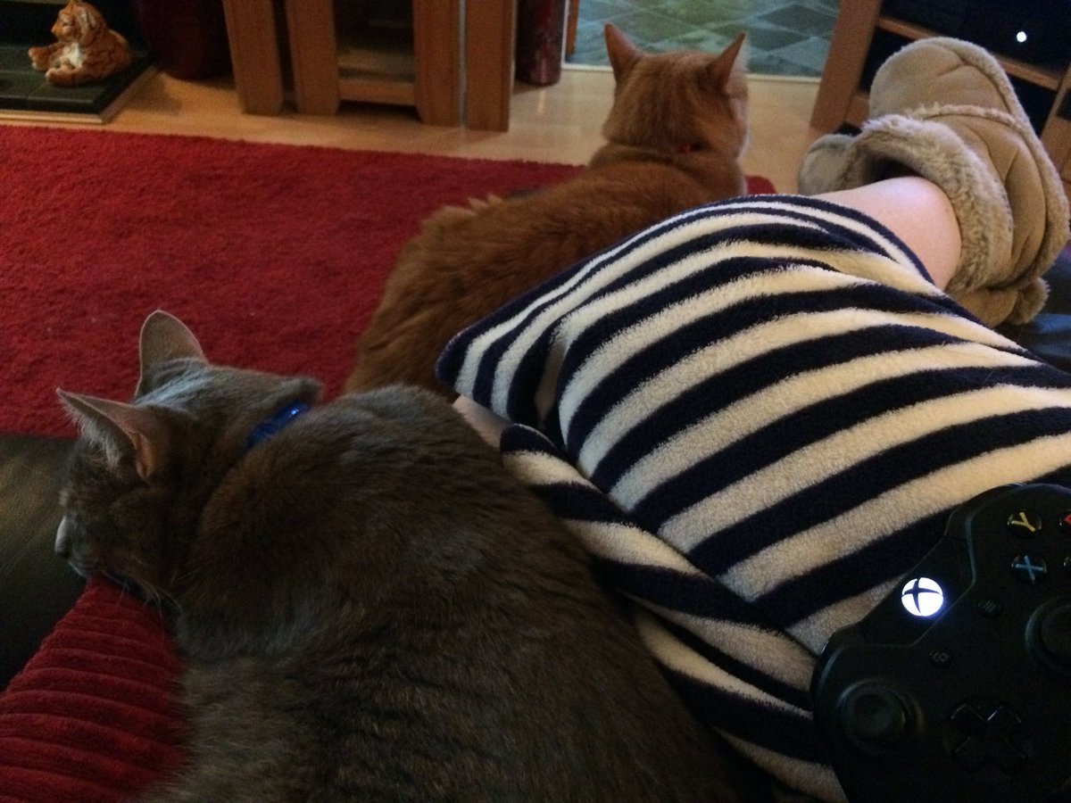 CatsOrDeathFML's tweet photo. Keeping our hooman company for some #SundayMorning chilltime.
#CatsOfTwitter #Gaming https://t.co/g0puJhELgp