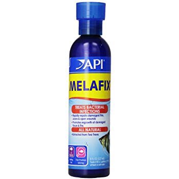 EveryVitamins's tweet photo. API PIMAFIX Antifungal Freshwater and Saltwater Fish Remedy - 64 Floz https://t.co/o9k9SXweDW https://t.co/RXO07jxgF3