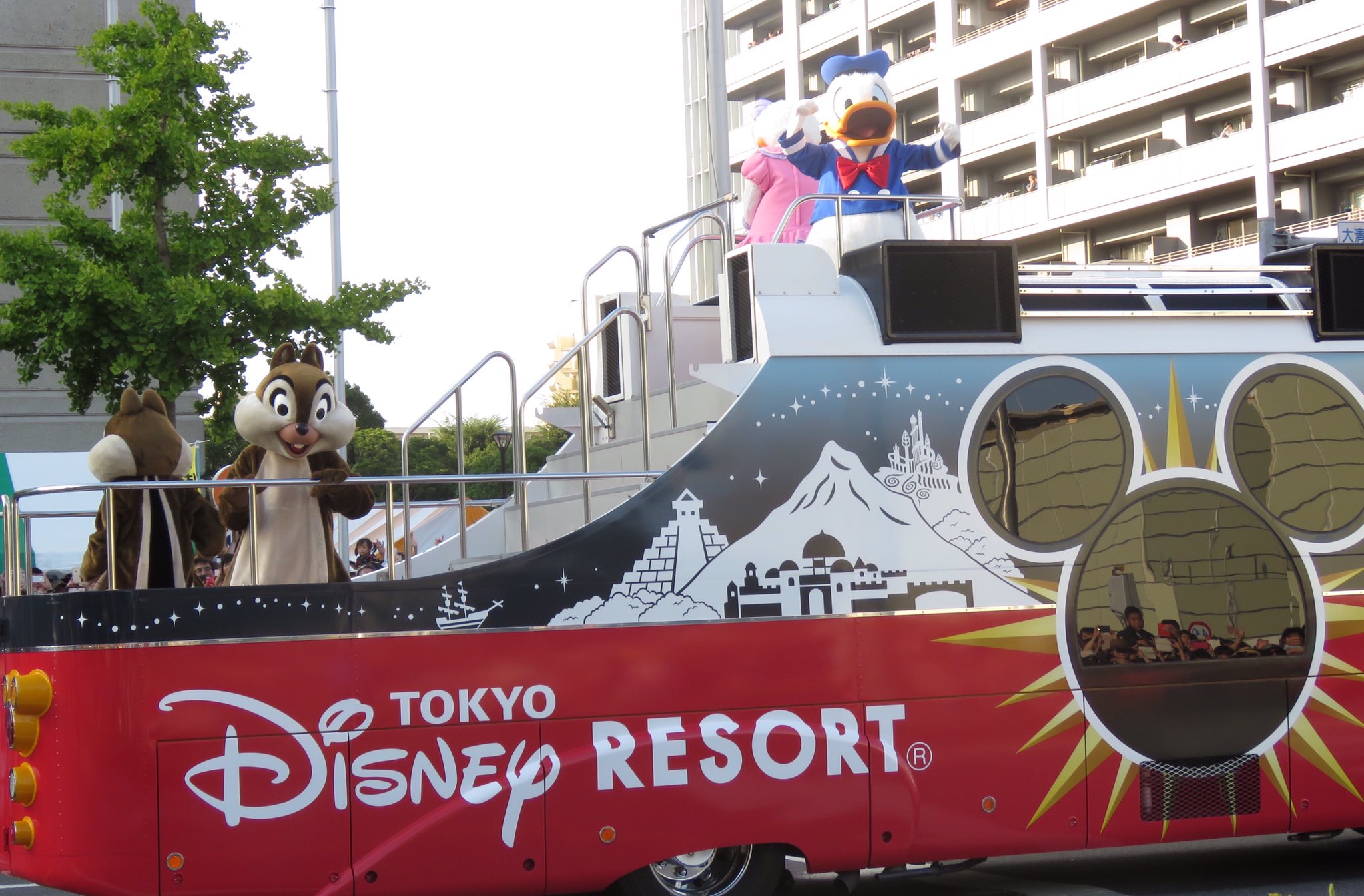 詩織 Twitterissa 立て続けに まつりつくばディズニーパレード ドナルド可愛く撮れました 後ろ姿のドナルドとデイジーの姿にはキュンキュン まつりつくば ドナルド