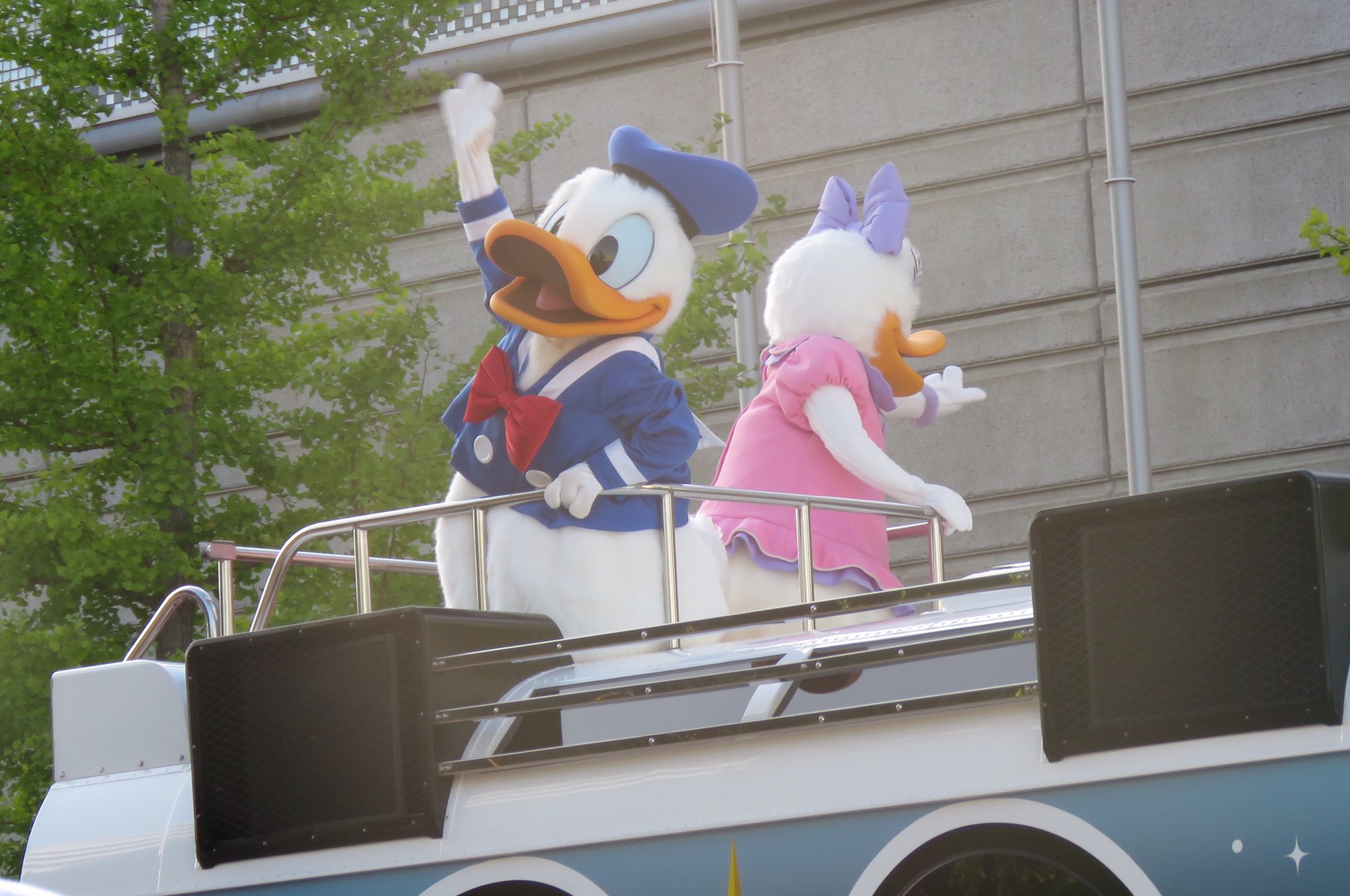 詩織 Twitterissa 立て続けに まつりつくばディズニーパレード ドナルド可愛く撮れました 後ろ姿のドナルドとデイジーの姿にはキュンキュン まつりつくば ドナルド